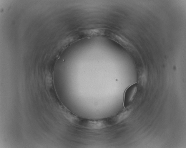 X0000074310469200609081946