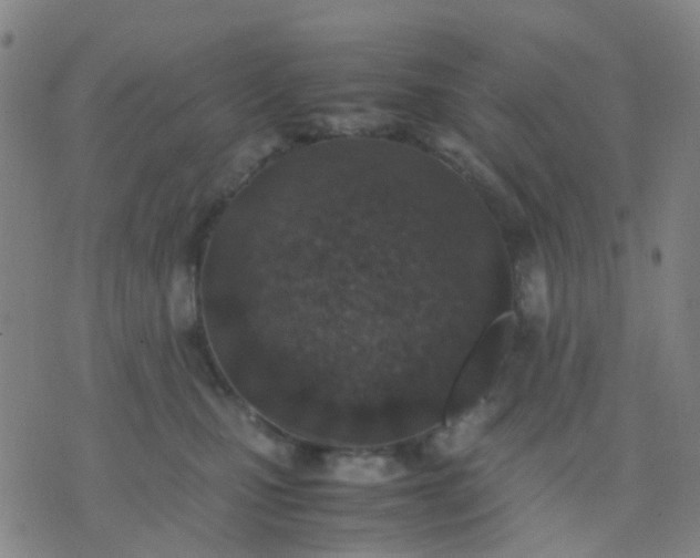 X0000074310471200609081946