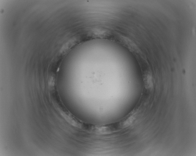 X0000074310472200609081946