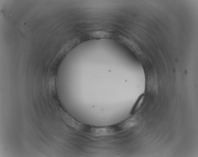 X0000074310473200609081946