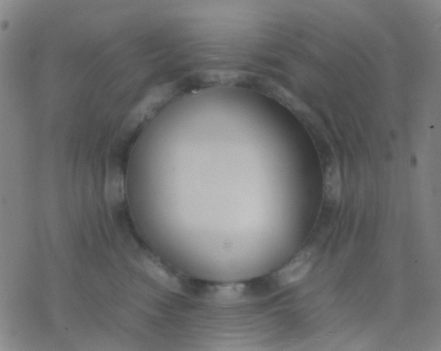 X0000074310474200609081946