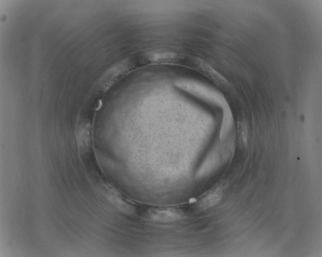 X0000074310475200609081947