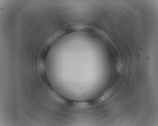 X0000074310476200609081947