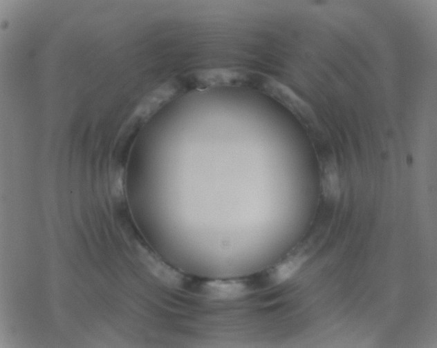 X0000074310477200609081947