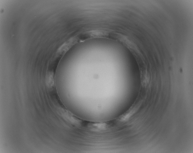 X0000074310478200609081947