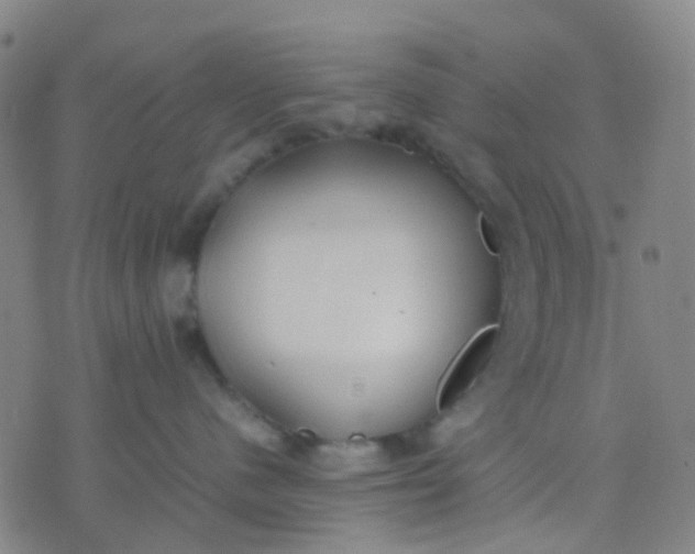 X0000074310480200609081947