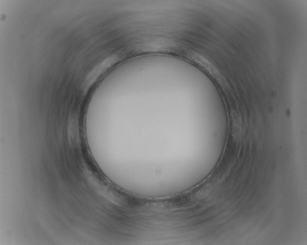 X0000074310482200609081946