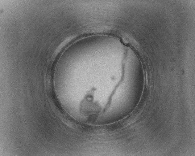 X0000074310483200609081946