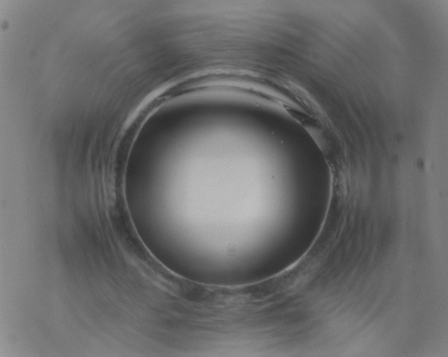 X0000074310484200609081946