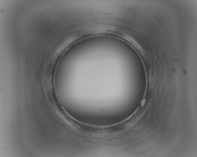 X0000074310485200609081946