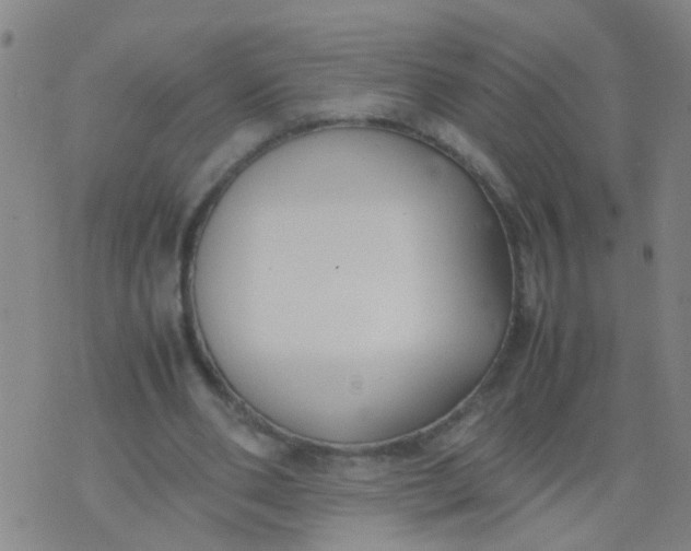 X0000074310486200609081946