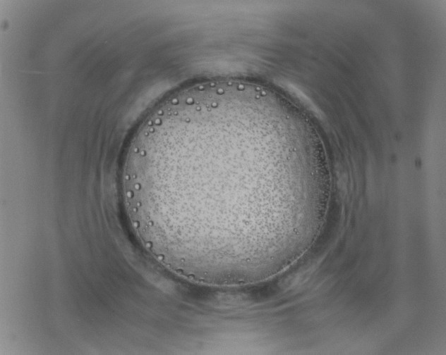 X0000074310487200609081946