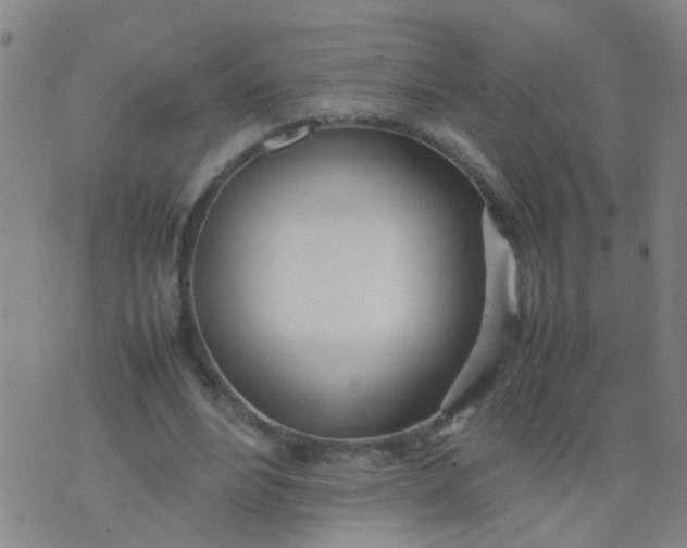 X0000074310488200609081946