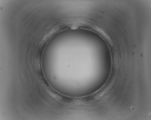 X0000074310489200609081946