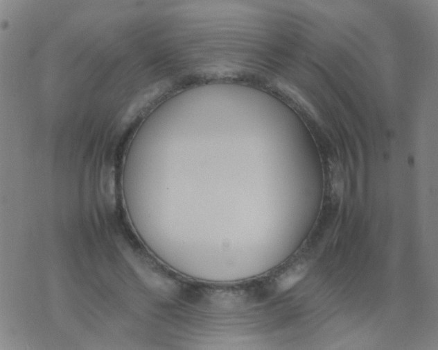 X0000074310494200609081946