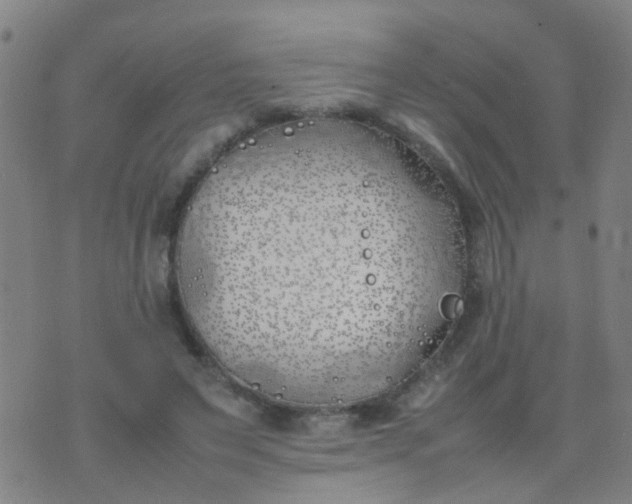 X0000074310495200609081946