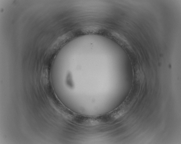 X0000074310498200609081946