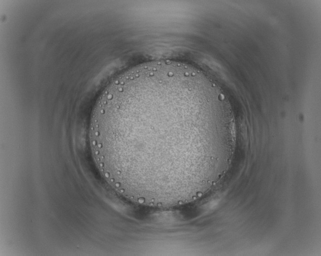 X0000074310499200609081946