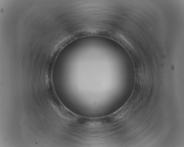 X0000074310500200609081946