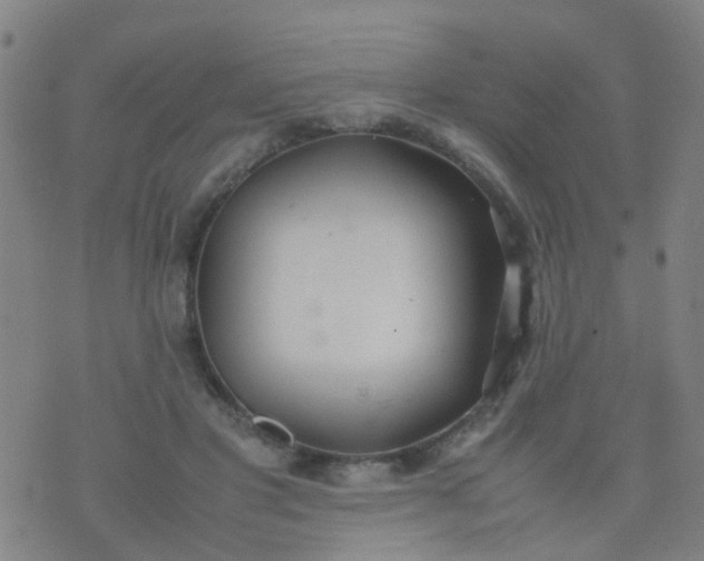 X0000074310501200609081945