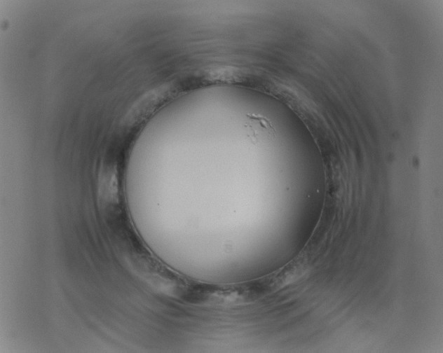 X0000074310502200609081945