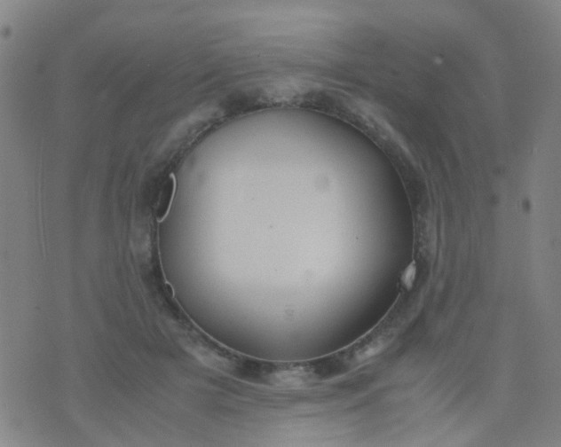 X0000074310505200609081945