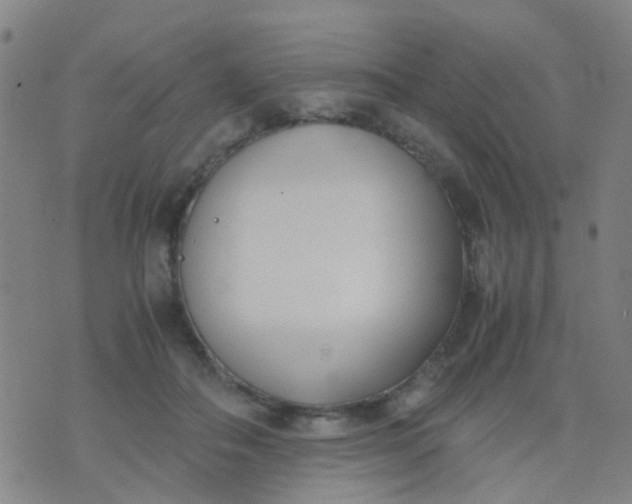 X0000074310506200609081945