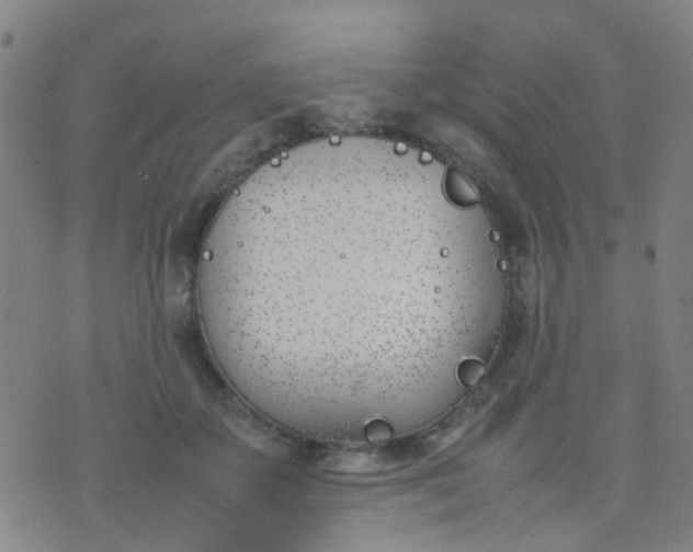 X0000074310507200609081945