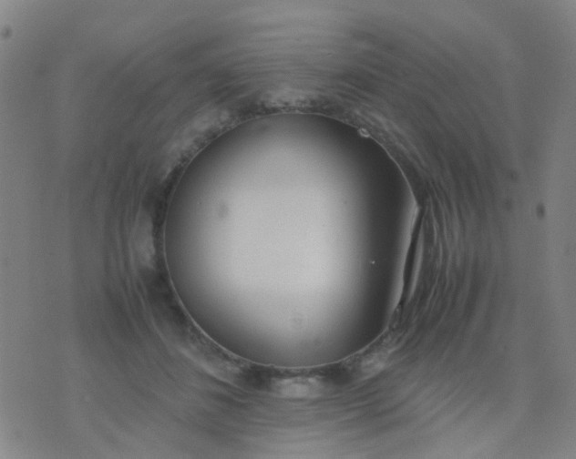 X0000074310508200609081945