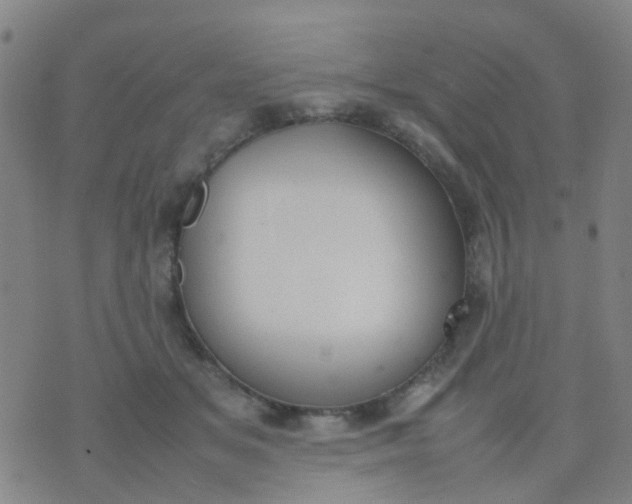 X0000074310509200609081945