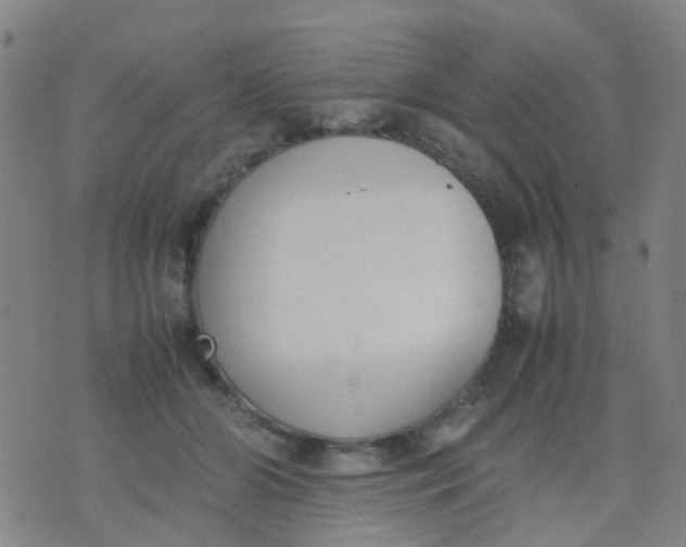 X0000074310510200609081945