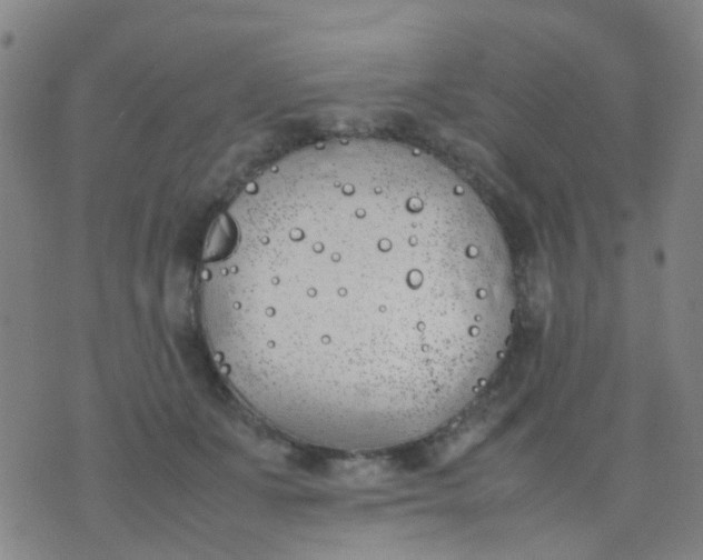 X0000074310511200609081945