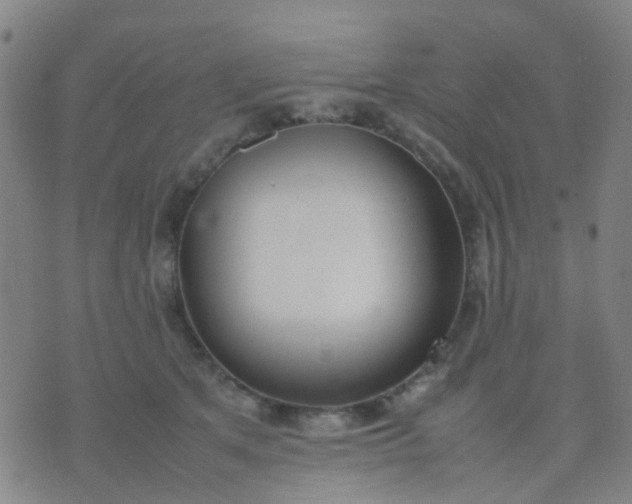 X0000074310513200609081945