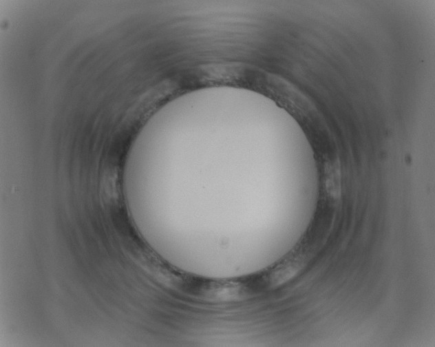 X0000074310514200609081945