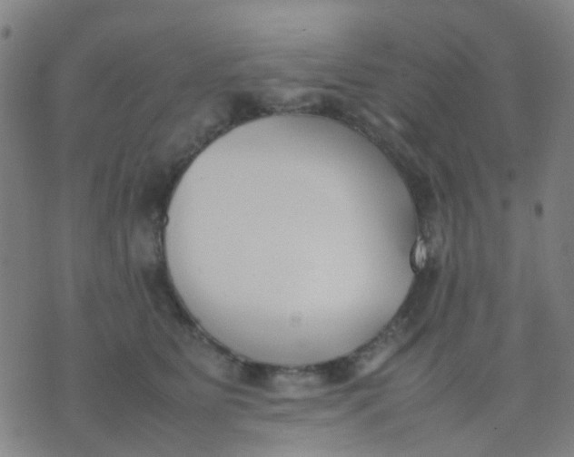 X0000074310515200609081945