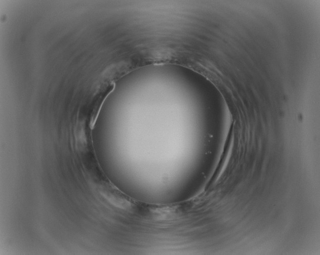 X0000074310516200609081945