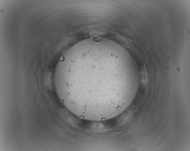 X0000074310519200609081945