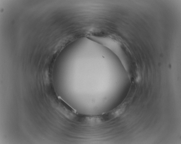 X0000074310520200609081945