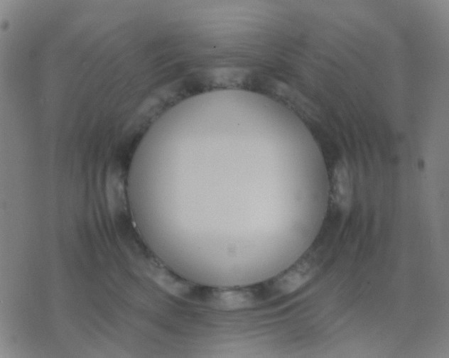 X0000074310522200609081945