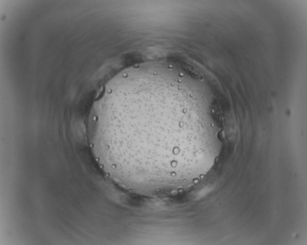 X0000074310523200609081945