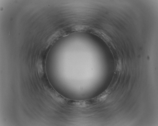 X0000074310524200609081945