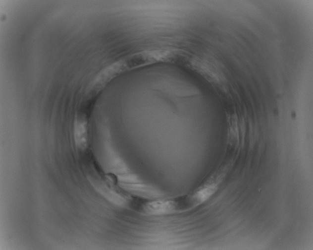 X0000074310526200609081945