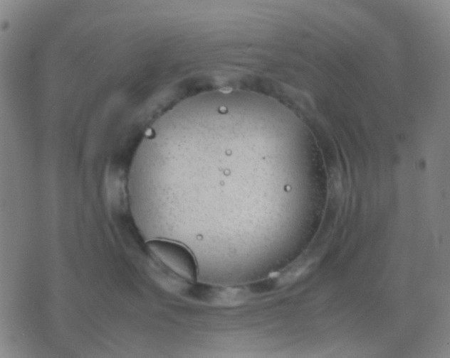 X0000074310527200609081945