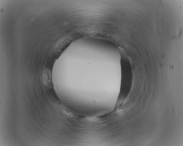 X0000074310528200609081945