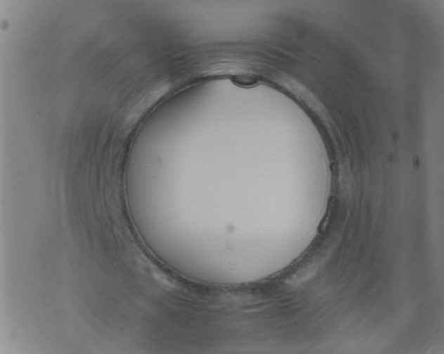 X0000074310529200609081944