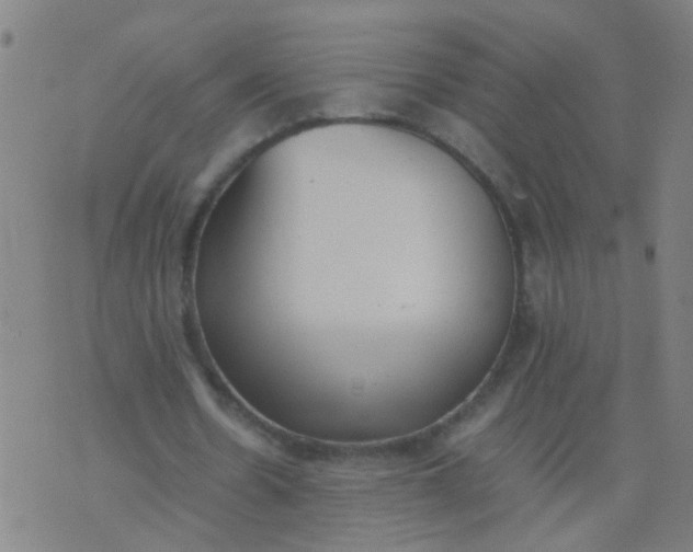 X0000074310530200609081944