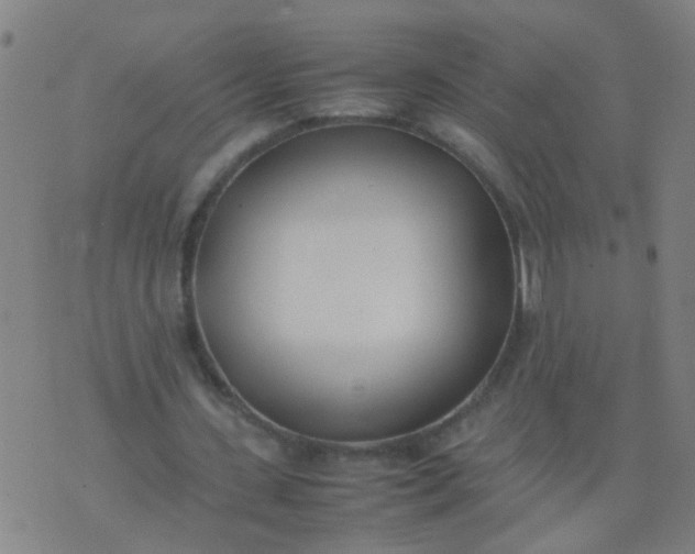 X0000074310531200609081944