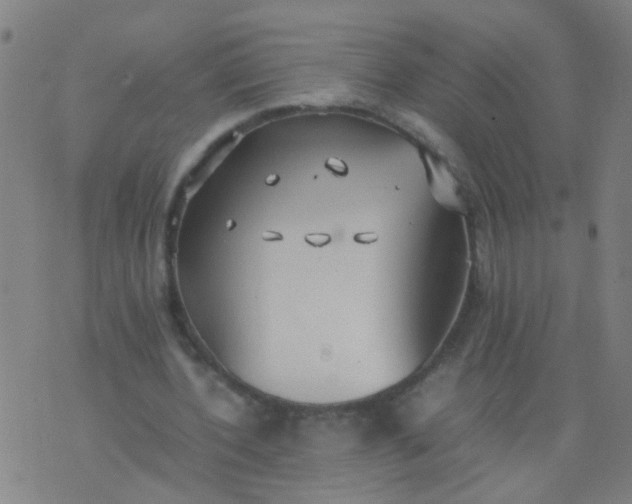 X0000074310532200609081944