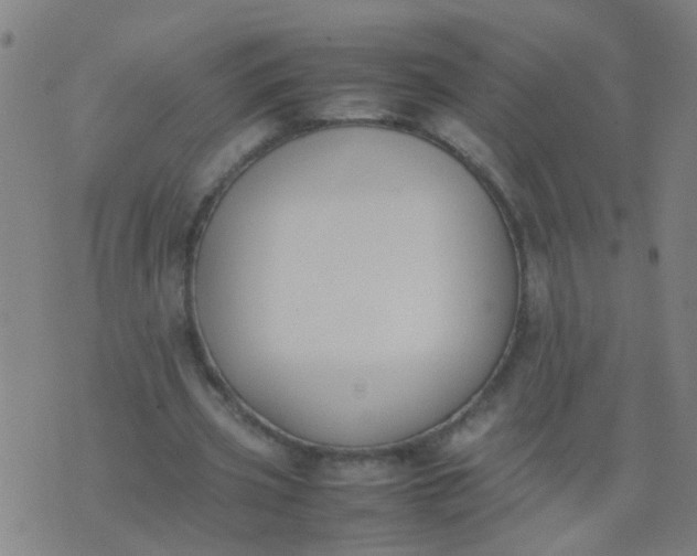 X0000074310533200609081944