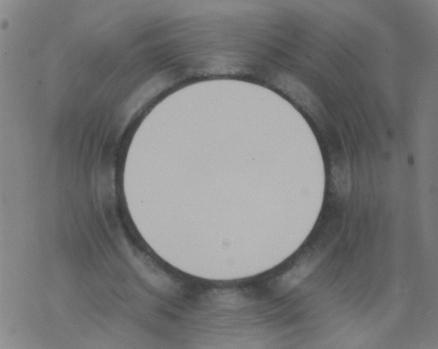 X0000074310534200609081944